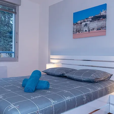 Le Clos Jaures/lyon-eurexpo/parc Ol Apartman